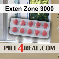 Exten Zone 3000 039