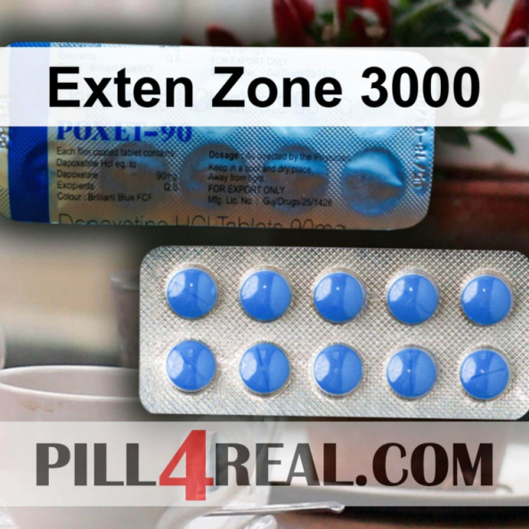 Exten Zone 3000 141
