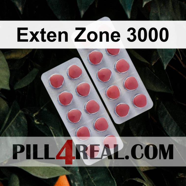 Exten Zone 3000 197