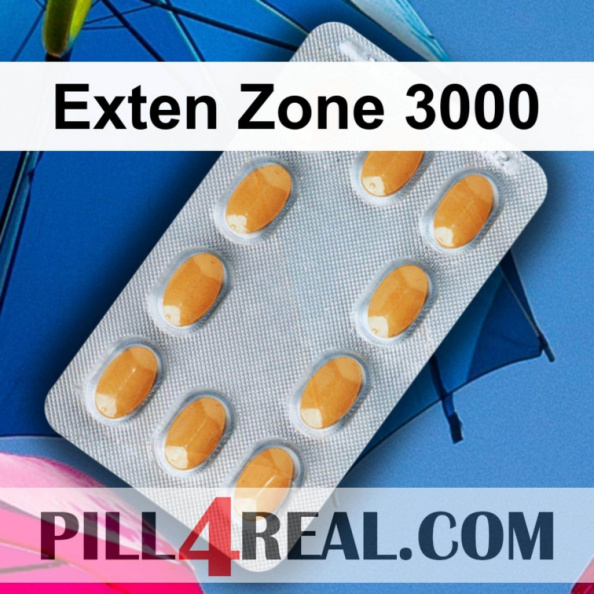 Exten Zone 3000 215