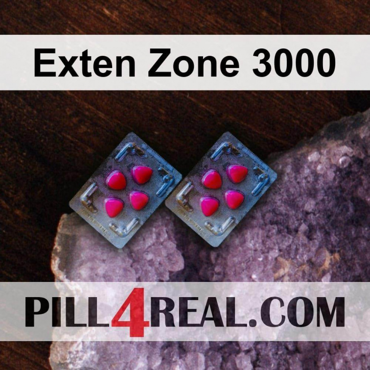 Exten Zone 3000 239