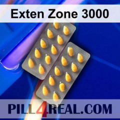 Exten Zone 3000 613