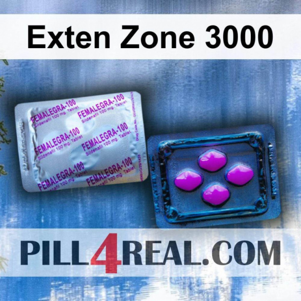 Exten Zone 3000 942