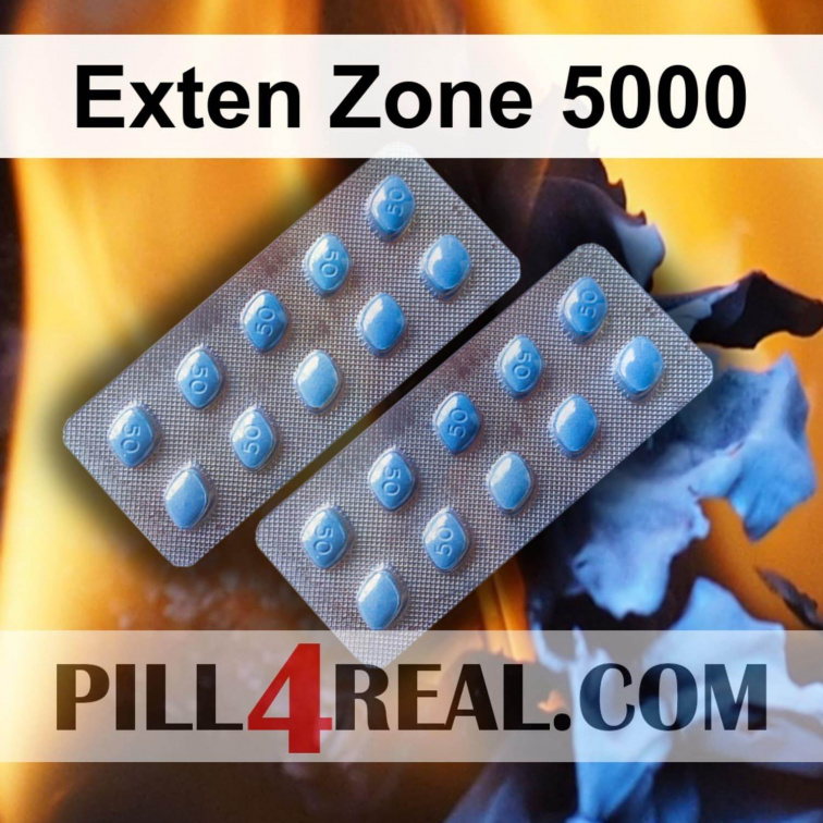 Exten Zone 5000 246