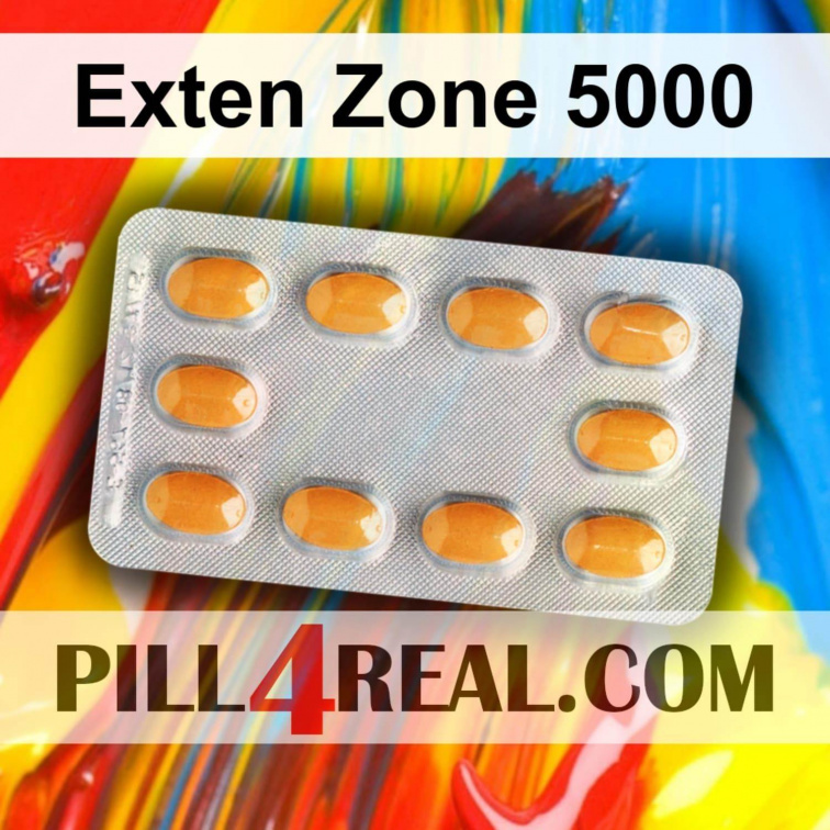 Exten Zone 5000 272