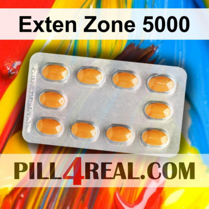 Exten Zone 5000 272
