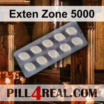Exten Zone 5000 339