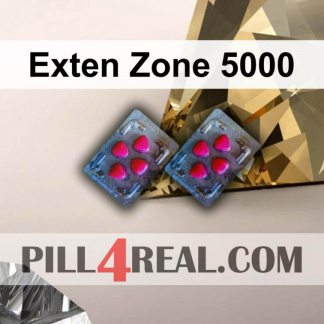Exten Zone 5000 382