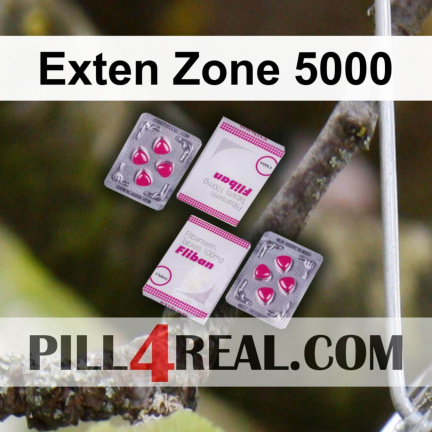 Exten Zone 5000 514