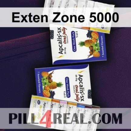 Exten Zone 5000 564