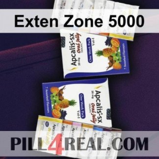 Exten Zone 5000 564