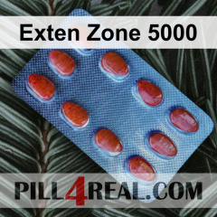 Exten Zone 5000 608