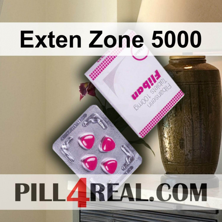 Exten Zone 5000 825