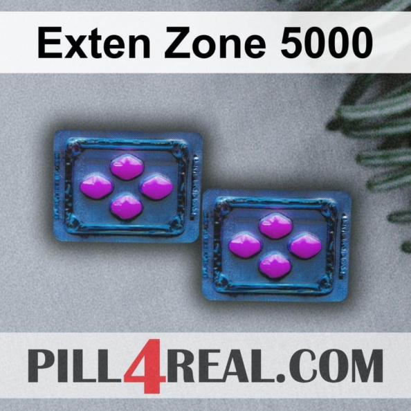 Exten Zone 5000 850