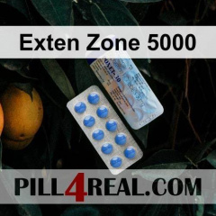 Exten Zone 5000 874