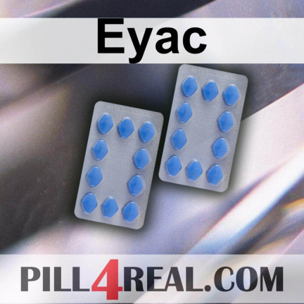 Eyac 538