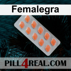 Femalegra 292