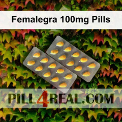 Femalegra 100mg Pills 004