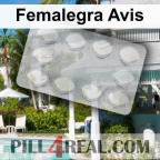 Femalegra Avis 114
