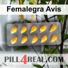 Femalegra Avis 708