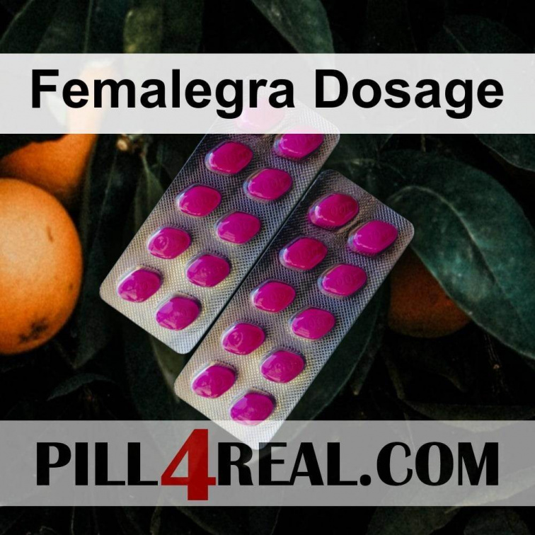Femalegra Dosage 077