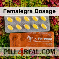 Femalegra Dosage 152