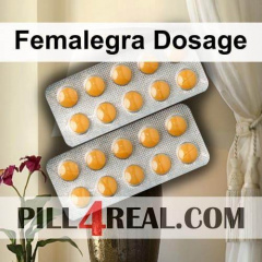 Femalegra Dosage 158