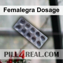 Femalegra Dosage 161