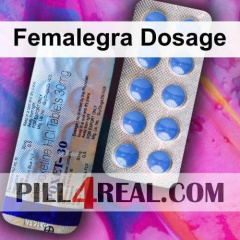 Femalegra Dosage 290