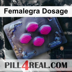 Femalegra Dosage 339