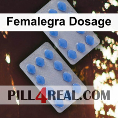 Femalegra Dosage 340