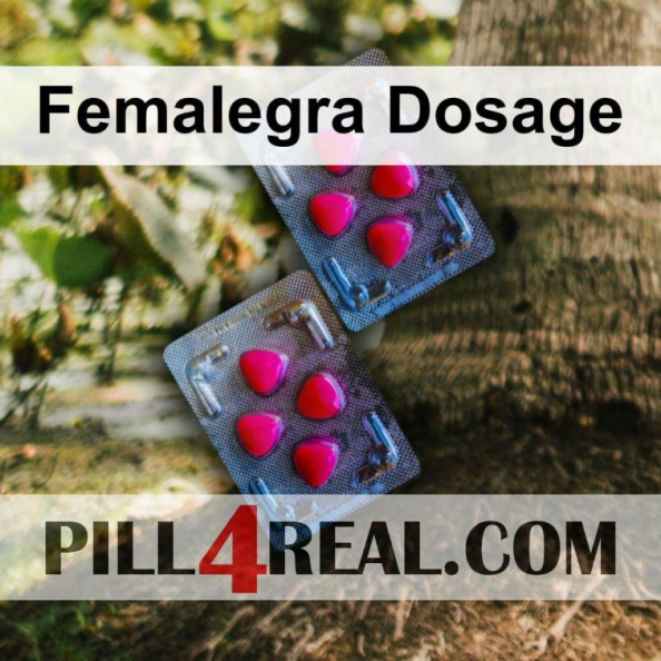 Femalegra Dosage 380