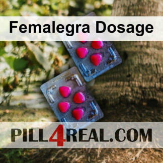 Femalegra Dosage 380