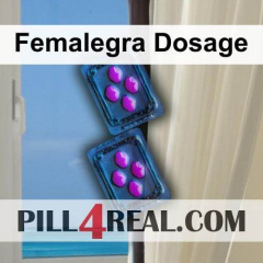 Femalegra Dosage 492