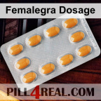 Femalegra Dosage 519