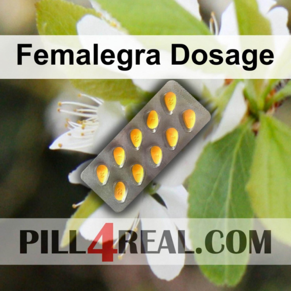 Femalegra Dosage 802
