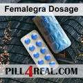 Femalegra Dosage 937