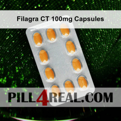 Filagra CT 100mg Capsules 088