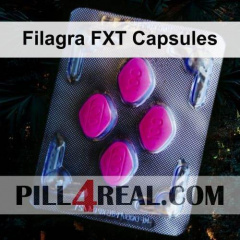 Filagra FXT Capsules 386