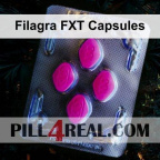 Filagra FXT Capsules 386