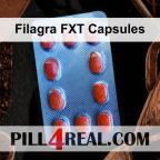 Filagra FXT Capsules 516