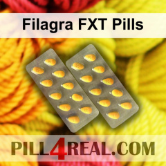 Filagra FXT Pills 132