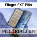 Filagra FXT Pills 291