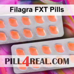 Filagra FXT Pills 428