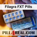 Filagra FXT Pills 848