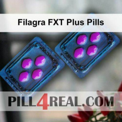 Filagra FXT Plus Pills 032