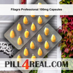 Filagra Professional 100mg Capsules 531