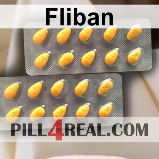 Fliban 477