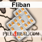 Fliban 628