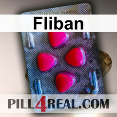 Fliban 713